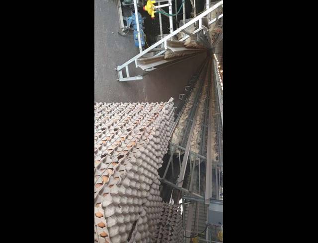 FARM FOR SALE IN WONDERBOOM